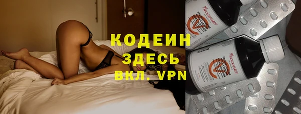 ECSTASY Алзамай