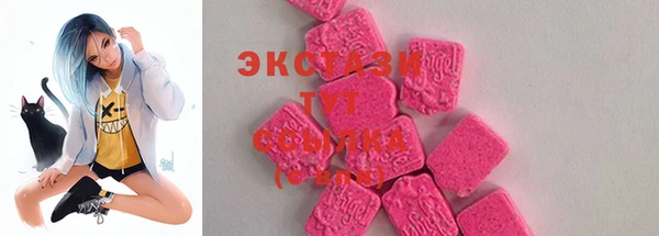 ECSTASY Алзамай