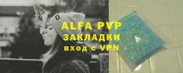 гидра Гусев