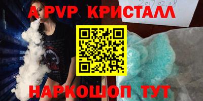 стаф Сланцы