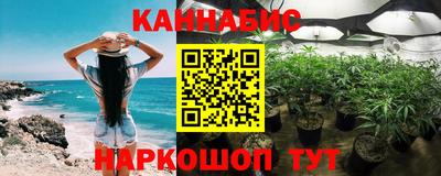 стаф Сланцы