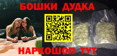 стаф Сланцы