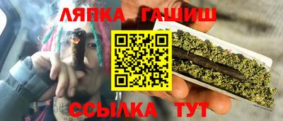 стаф Сланцы