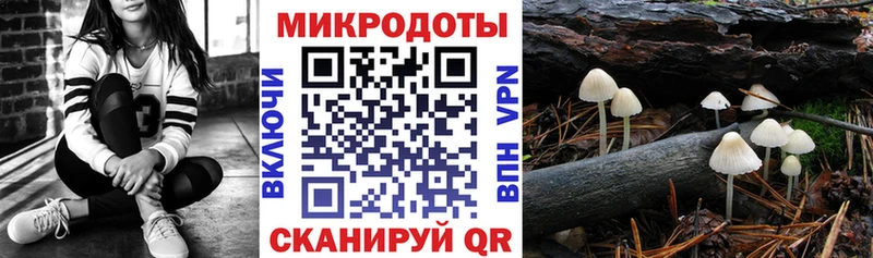 Псилоцибиновые грибы Magic Shrooms  цена наркотик  Амурск 