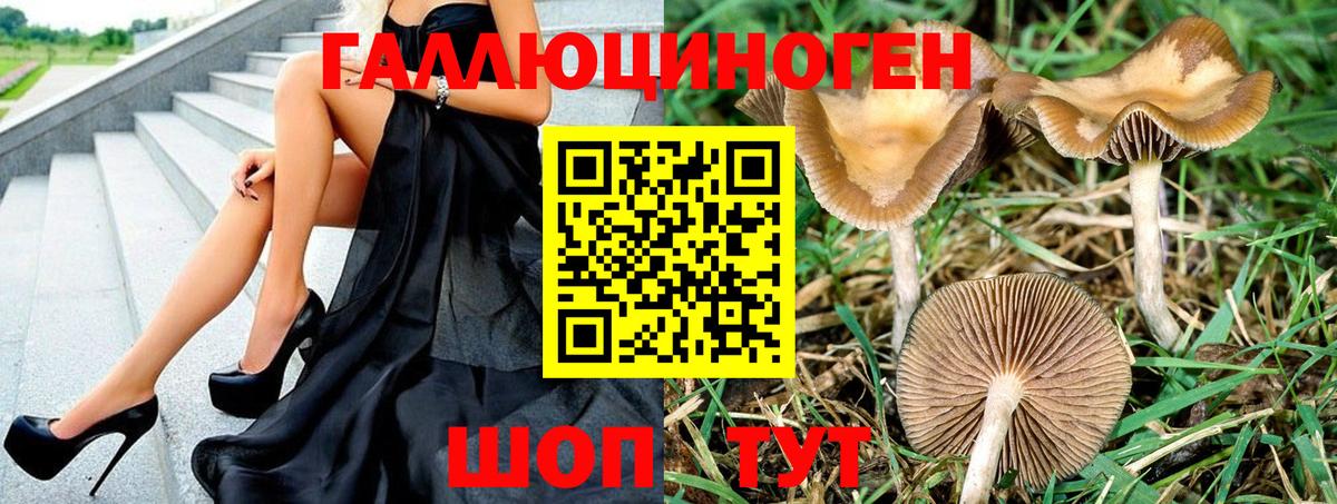 Амурск  Галлюциногенные грибы Psilocybine cubensis  Вход с VPN 